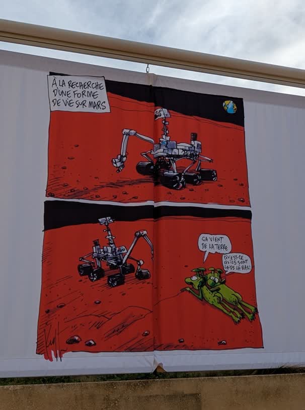 day13-politics-musk