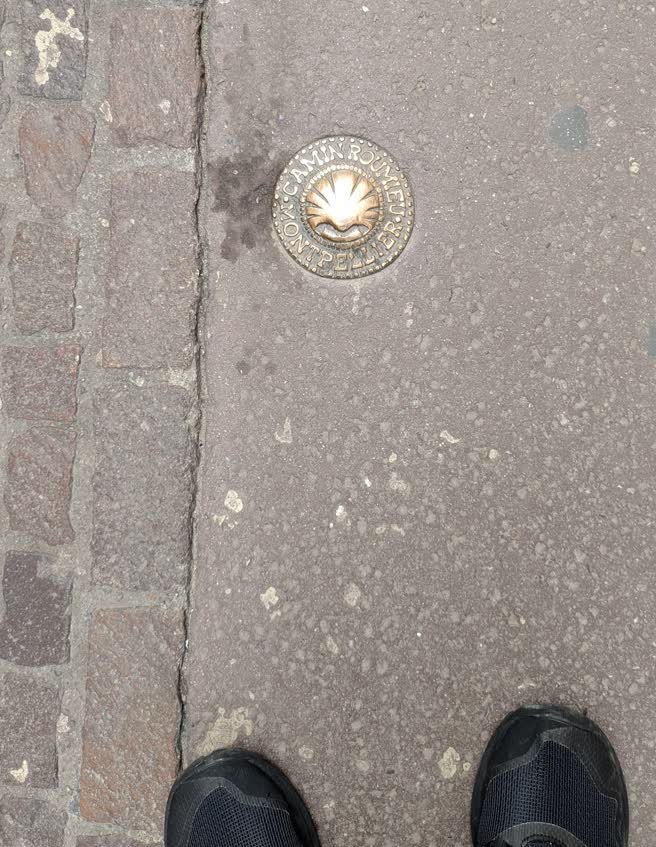 day16-camino-bump