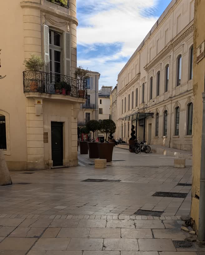 day21-streets-topiary